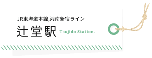 JR東海道本線,湘南新宿ライン 辻堂駅 Tsujido Station